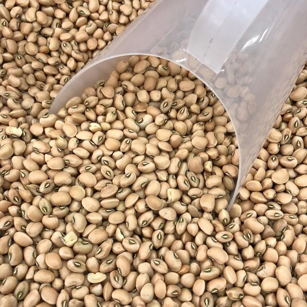 Feijão produzido pela cooperativa